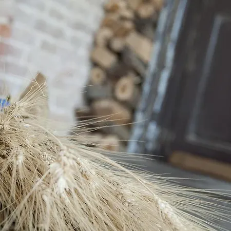 Palazzo Turro Konukevi 3*