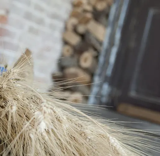 Palazzo Turro Πανσιόν 3*